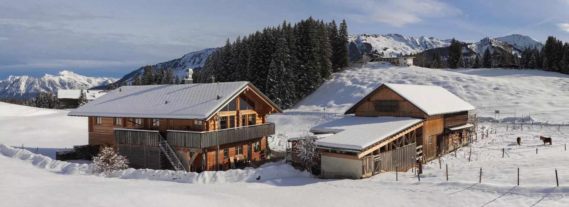 Naturzeithof Hirschegg (Vorarlberg) Dış mekan fotoğraf