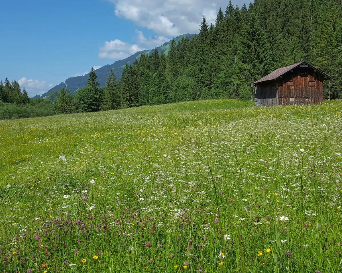 Naturzeithof Hirschegg (Vorarlberg) Dış mekan fotoğraf